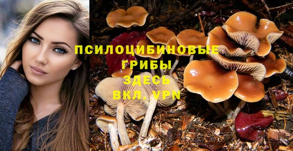 амф Арсеньев