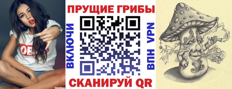 купить закладку  Красноуфимск  Псилоцибиновые грибы Cubensis 