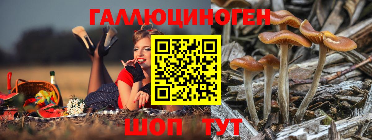 наркота  Вход с VPN  Галлюциногенные грибы GOLDEN TEACHER  Красноуфимск  Псилоцибиновые грибы прущие грибы 